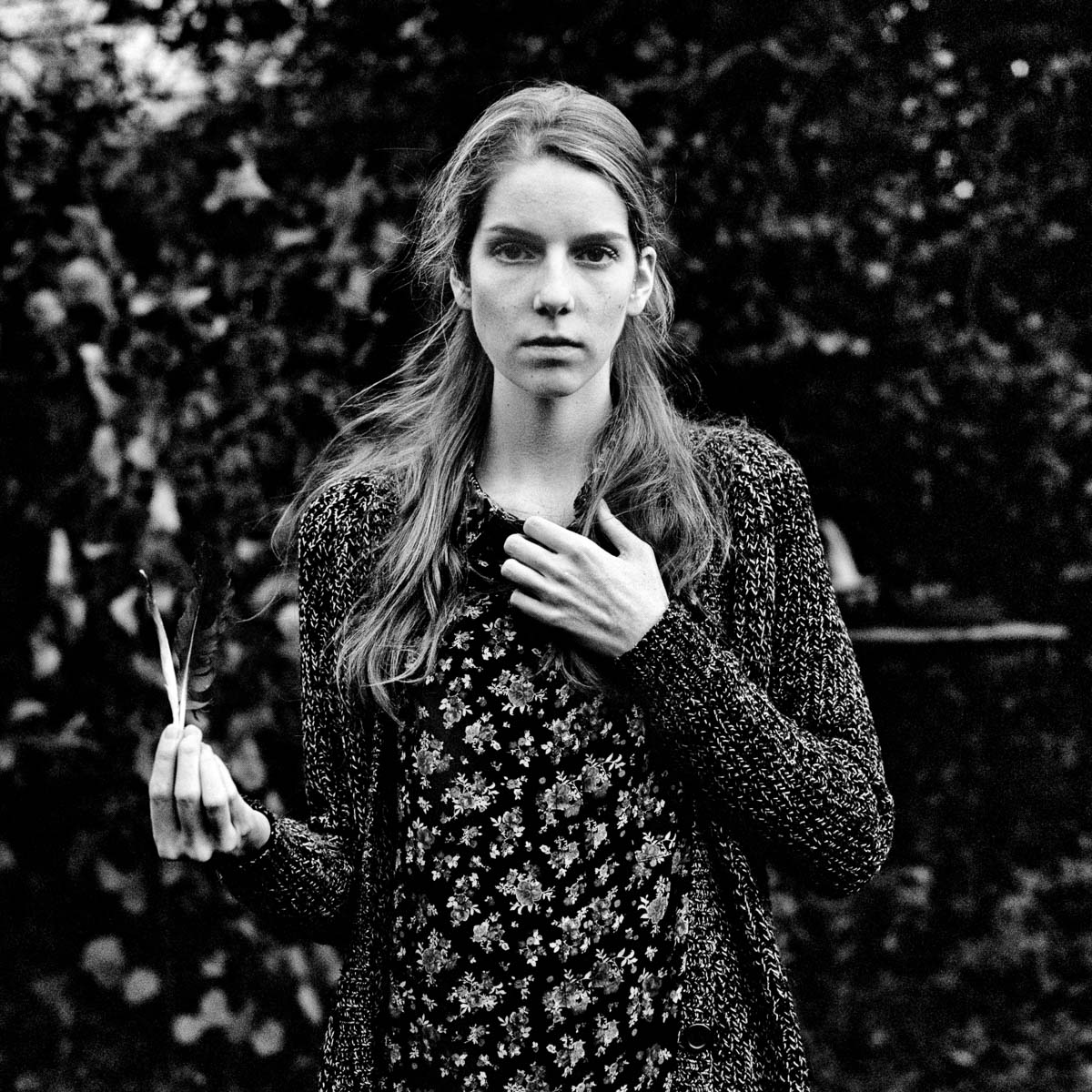 jante wortel, 2015